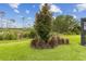 Well-maintained backyard featuring a mature tree surrounded by ornamental grass, adding natural beauty at 9844 Beach Port Dr, Winter Garden, FL 34787