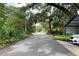 Charming street view with mature trees and Spanish moss creating a picturesque setting at 1335 E 3Rd Ave, Mount Dora, FL 32757