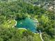 Breathtaking aerial of a pristine swimming hole and beach surrounded by dense, verdant trees at 2142 Woodbridge Rd, Longwood, FL 32779