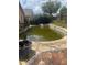 Backyard swimming pool in need of maintenance with green stagnant water at 2155 Fennell St, Maitland, FL 32751