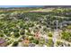 Picturesque aerial view of a neighborhood, surrounded by lush greenery and mature trees, offering a serene residential setting at 325 Little Aspen Ct, Ocoee, FL 34761