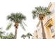 Shot of palm trees next to the exterior of the townhomes in this community at 8024 Cool Breeze Dr # 132, Orlando, FL 32819
