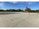 Outdoor basketball court with multiple hoops, surrounded by a green, landscaped area at 8495 Lake Amhurst Trl, Orlando, FL 32829