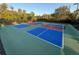 Outdoor pickleball courts with vibrant blue and red playing surfaces, enclosed by black fencing at 8495 Lake Amhurst Trl, Orlando, FL 32829