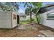 Backyard featuring a shed with a partially opened door, a palm tree and grass with leaves at 1002 Cypress Ave, Sanford, FL 32771