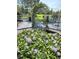 Water garden with flowering hyacinth and decorative landscaping at 1477 Shadwell Cir, Lake Mary, FL 32746
