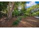 Large backyard with lush landscaping and mature trees at 1505 Delaney Ave, Orlando, FL 32806