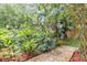 Landscaped backyard featuring stepping stones through lush greenery at 2910 Hargill Dr, Orlando, FL 32806