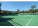 Well-maintained community tennis courts for active recreation and leisure at 300 Royal Palm Ct, Longwood, FL 32779