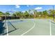 Well-maintained community basketball court with clear markings, hoops, and lush landscaping, ready for a game at 3753 Heirloom Rose Pl, Oviedo, FL 32766