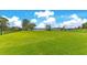 Lush green backyard with mature trees and a fence, providing a private and serene outdoor space at 49 Interlaken Rd, Orlando, FL 32804