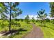 Scenic walking path through a green field with young pine trees and a distant bench offers natural beauty at 744 Curly Locks Loop, Apopka, FL 32703