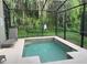 Screened-in lanai boasts a private pool surrounded by lush greenery, perfect for relaxation at 8894 Candy Palm Rd, Kissimmee, FL 34747
