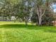 Expansive green backyard with mature trees, perfect for outdoor activities and relaxation at 16631 Champions Ct, Clermont, FL 34711