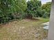 Backyard with grass, plants, and trees at 304 Lake Daisy Loop, Winter Haven, FL 33884