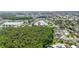 Serene aerial view of a home nestled between a lake and a vibrant forest at 344 Blue Bayou Dr, Kissimmee, FL 34743