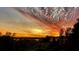 A colorful sunset view over a tree-lined area with light reflecting off of clouds at 6336 Buford St # 207, Orlando, FL 32835