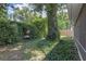 Large backyard surrounded by mature trees and lush greenery at 1021 Piedmont Oaks Dr, Apopka, FL 32703