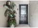 View of the front door with glass inset and the unit number 203 with a large potted plant at 1055 Kensington Park Dr # 203, Altamonte Springs, FL 32714