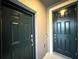 Close-up of the front doors with modern hardware and sleek black finish at 1147 Pomelo St, Davenport, FL 33837