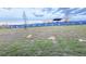 View of grounds with new facility in the background behind a blue fence with a ship's wheel design at 1147 Pomelo St, Davenport, FL 33837