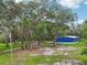Charming blue home nestled in a serene, wooded setting offering peace and privacy at 1235 Arapaho Trl, Geneva, FL 32732