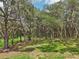 Picture of homesite with mature trees offering shade and privacy at 1235 Arapaho Trl, Geneva, FL 32732