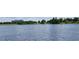 Scenic water view showcasing calm lake waters, distant buildings, and lush green trees at 13755 Benavente Ave, Orlando, FL 32827