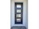 Contemporary front door featuring a sleek design with glass panels and black trim at 1646 Pinecliff Dr, Apopka, FL 32703