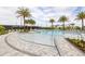 Resort-style pool with zero entry, palm trees and lounge seating at 1646 Pinecliff Dr, Apopka, FL 32703