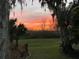 Sunset View from backyard showcases green grass, trees, and palms, blending nature with the vibrant colors of the twilight sky at 195 River Village Drive, Debary, FL 32713