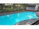 Sparkling in-ground pool in a screened enclosure, surrounded by lush greenery at 2804 Clearfield Ave, Orlando, FL 32808