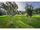 Lush green backyard with young trees, creating a serene and private outdoor space at 36607 E Eldorado Lake Dr, Eustis, FL 32736