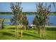 Spacious green lawn leading to lake and outdoor seating at 36607 E Eldorado Lake Dr, Eustis, FL 32736