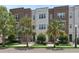Attractive townhomes boasting brick and painted brick exteriors, enhanced by palm trees and well-manicured landscaping at 464 W Plant St, Winter Garden, FL 34787