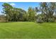 Vast backyard with a large grassy area and trees surrounding the perimeter at 9601 Ambleside Dr, Windermere, FL 34786