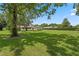 Expansive backyard featuring lush lawn and mature trees at 9601 Ambleside Dr, Windermere, FL 34786