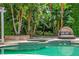 Luxurious pool area with tropical landscaping, inviting lounge seating, and clear blue water at 11015 Hawkshead Ct, Windermere, FL 34786