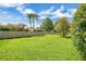 Lush green backyard enclosed with a wooden fence, showcasing greenery at 1406 Sean Ct, St Cloud, FL 34772