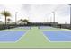 Community tennis and pickleball courts available for residents at 1508 Stonecliff Dr, Apopka, FL 32703