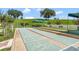 Shuffleboard court with shaded seating, perfect for outdoor recreation and community activities at 2500 Castle Pines St, Clermont, FL 34711