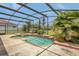 Screened-in pool with spa and tropical landscaping at 3009 Park Ridge Ave, Mulberry, FL 33860