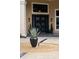 Contemporary home entrance features a black front door and an agave plant in a decorative pot at 4048 Gilder Rose Pl, Winter Park, FL 32792