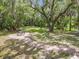 Picturesque park with picnic tables, lush greenery, and mature trees draped in Spanish moss at 169 Verde Way, Debary, FL 32713