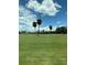 Expansive golf course view featuring well-manicured greens and scattered palm trees under a bright, partly cloudy sky at 2826 Osprey Cove Pl # 103, Kissimmee, FL 34746