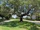 A scenic neighborhood streetscape with an old majestic shade tree at 2826 Osprey Cove Pl # 103, Kissimmee, FL 34746