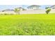 A wide-open backyard featuring an expansive lawn space at 5107 Longmeadow Park St, Orlando, FL 32811