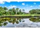 View of pond and community; trees and blue sky reflected in water at 6836 Bittersweet Ln, Orlando, FL 32819