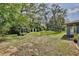 Large, grassy backyard featuring mature trees, a storage shed, bird bath and an area for plants or a garden at 1607 Lindale Ave, Eustis, FL 32726
