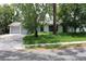 View of home's overgrown front yard and driveway, with trees obscuring the home at 305 E Orange St, Altamonte Springs, FL 32701